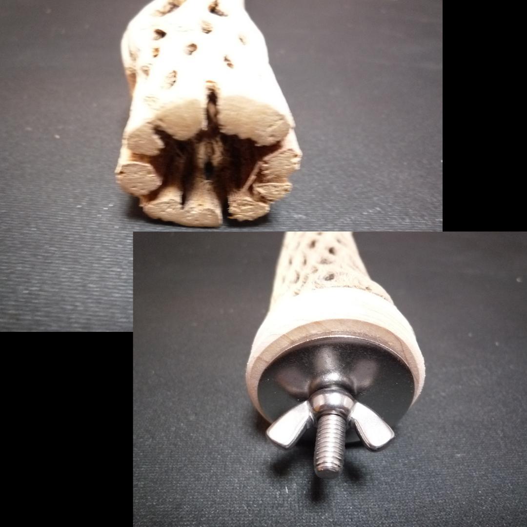 鳥用品 止まり木 カクタス スケルトン パーチ 細長めNo.130