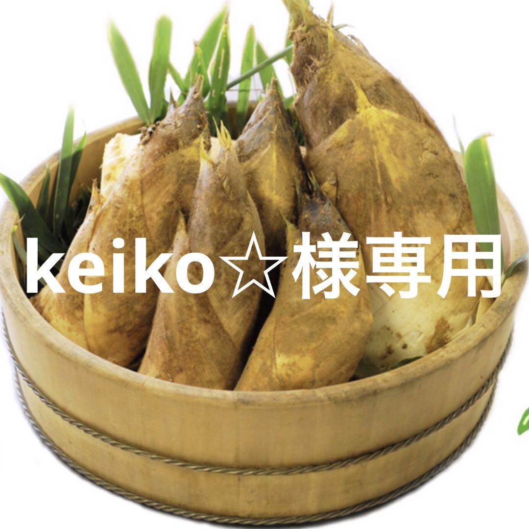 keiko☆様専用　京都 長岡京　白子たけのこ　朝堀り筍　2kg