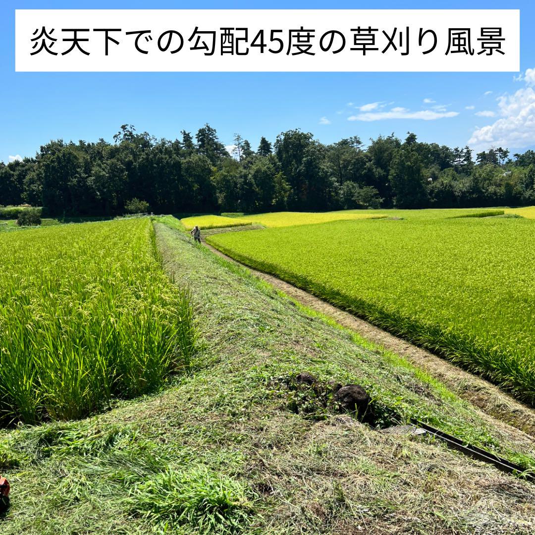 ☆リピーター様ご要望にて第一弾ラスト1名様☆【新米コシヒカリ一等米精米10kg】