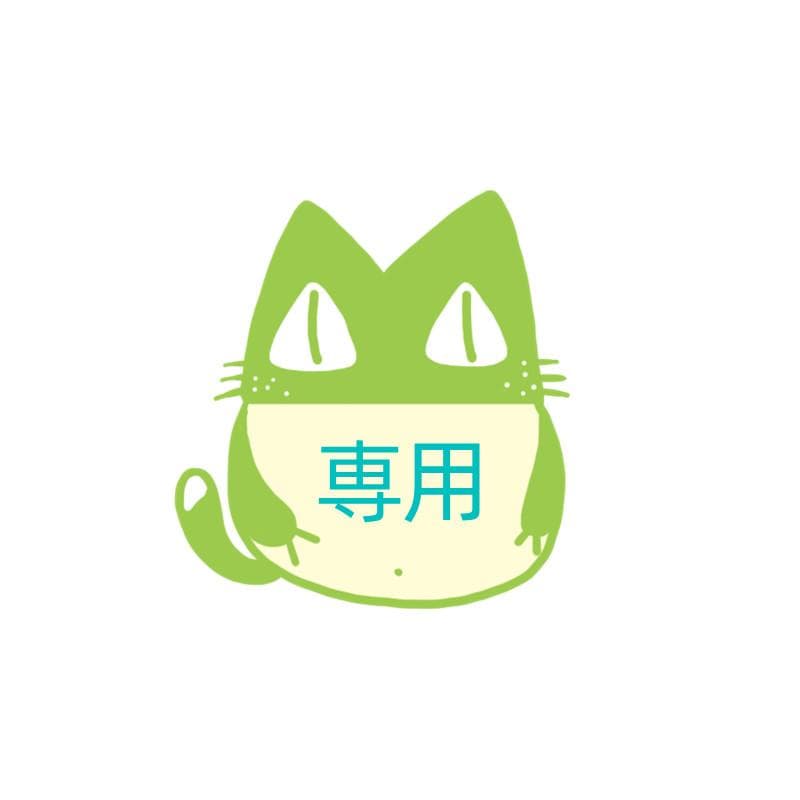 売れ筋アイテムラン ano 樣 專用 スケルトン版+メイク(濃