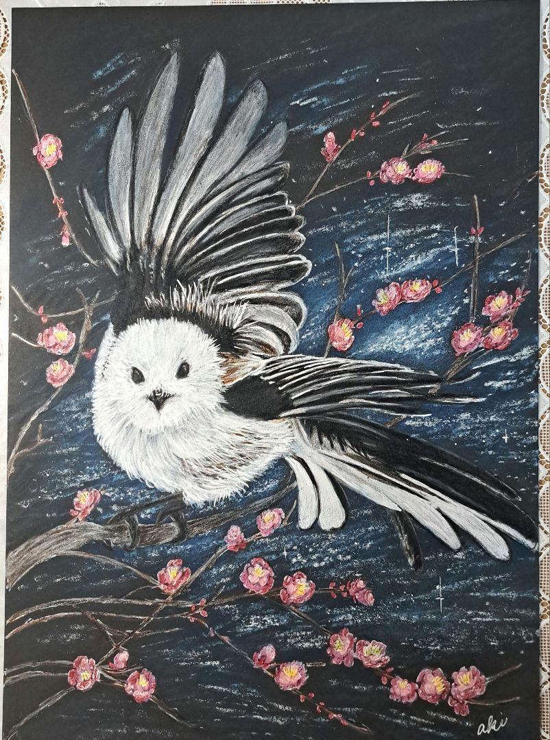 色鉛筆画 文鳥 (原画) 文鳥画 色鉛筆 原画 キャルルル 桜文鳥とブルースター – 小鳥