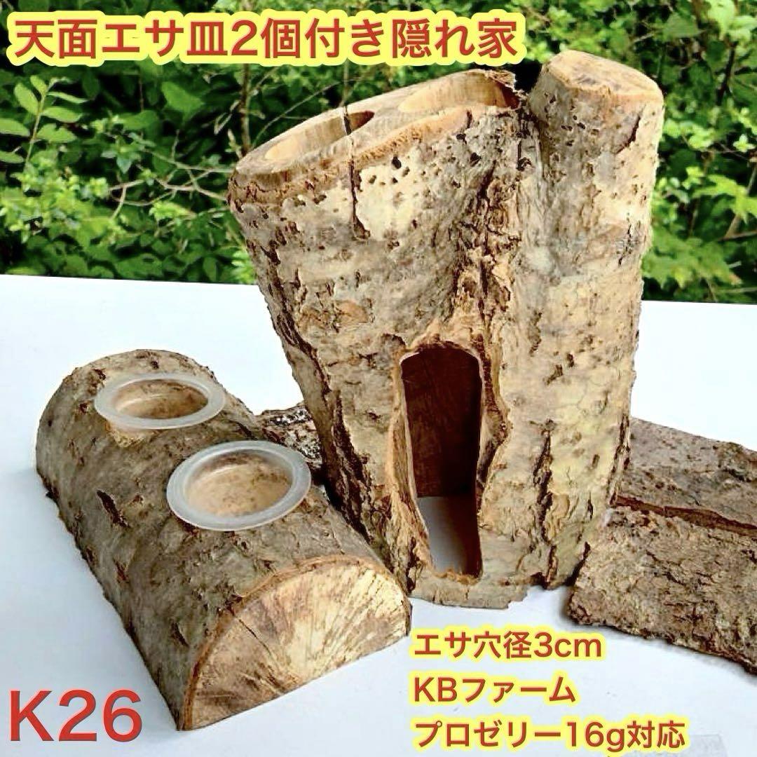 楢 隠れ家 樹洞 カブトムシ クワガタ クワリウム 止まり木 登り