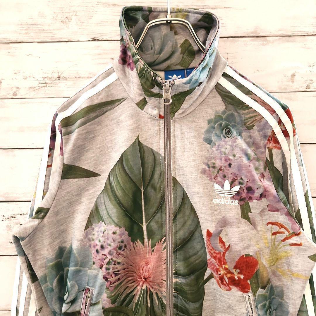 美品!! adidas レディース ファームカンパニー 紫陽花 グレー XL