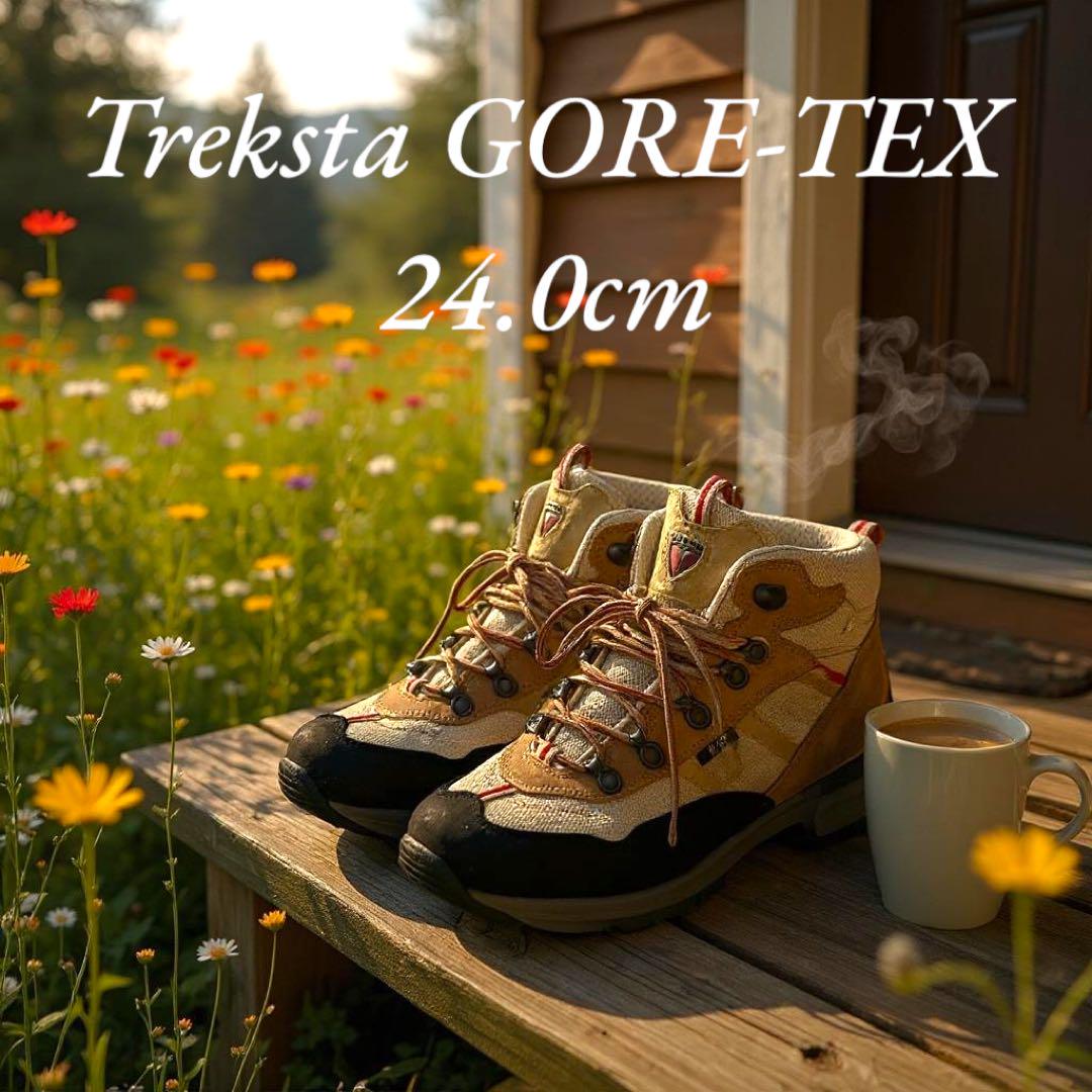 Treksta トレッキングシューズ | 株式会社エバニュー