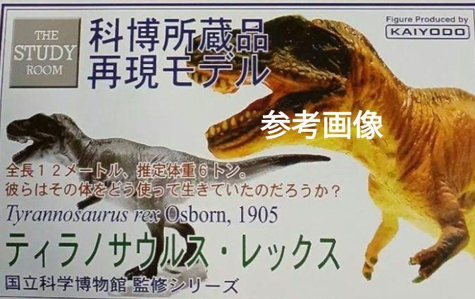 ラフレシア 模型 国立科学博物館監修 - メルカリ
