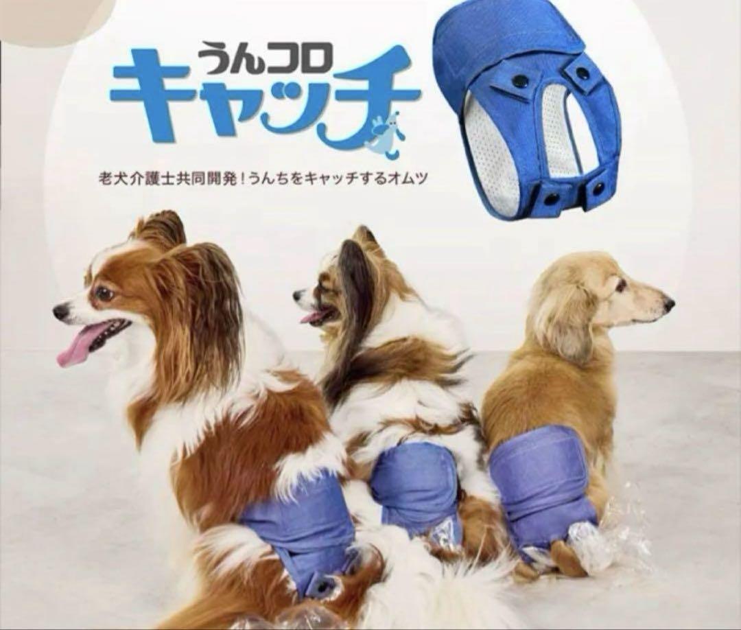 うんコロキャッチ　Sサイズ