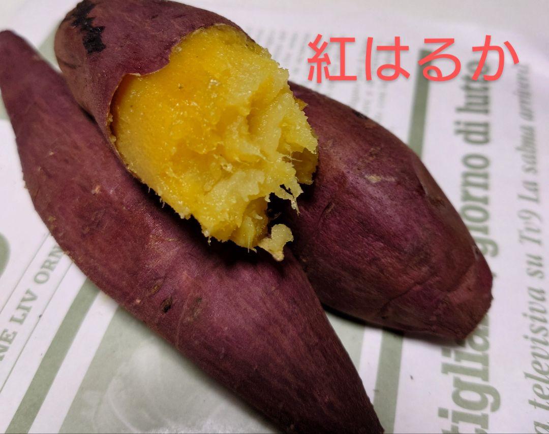 鹿児島県産 紅はるか 訳あり 24キロ
