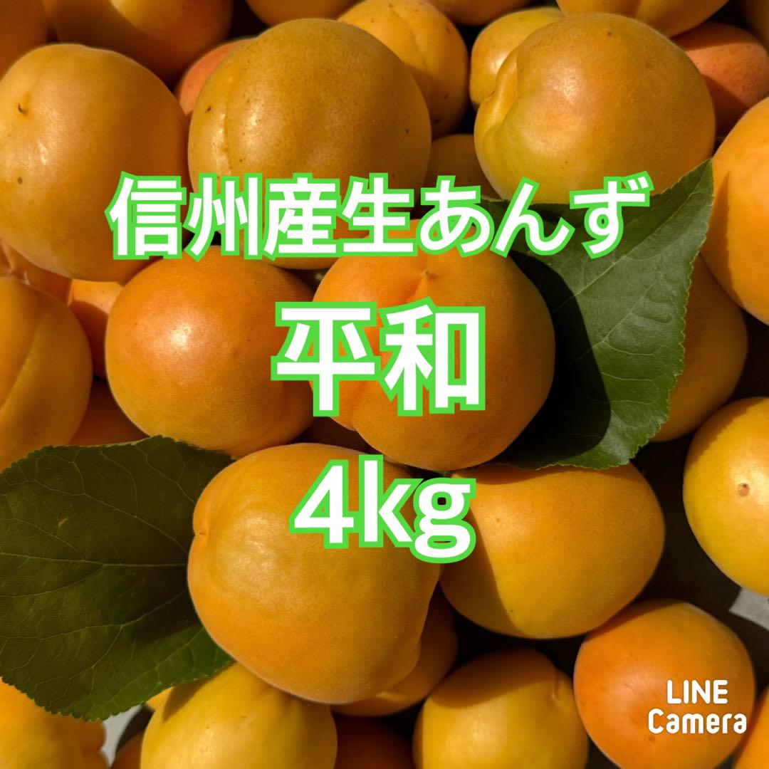 ★平和　4kg 信州産 あんず　杏　生あんず　アプリコット