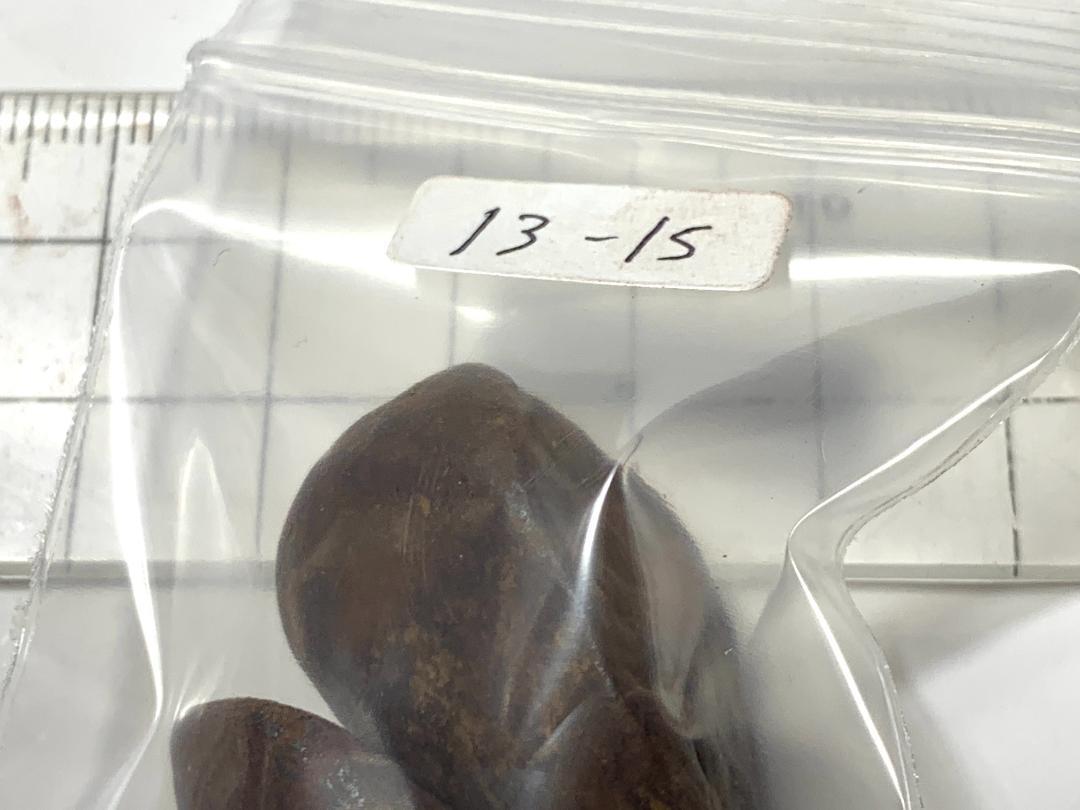 rh　鉄隕石原石・13－12・75g（中国産鉱物標本）他１２点