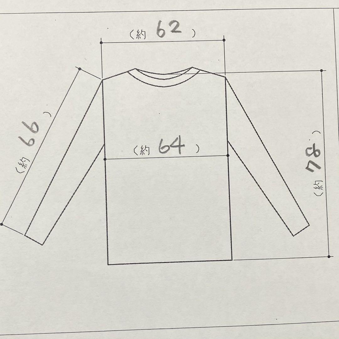 ハーレーダビッドソン　両面プリント　目玉　ロンT tシャツ エンブレム　フレイム