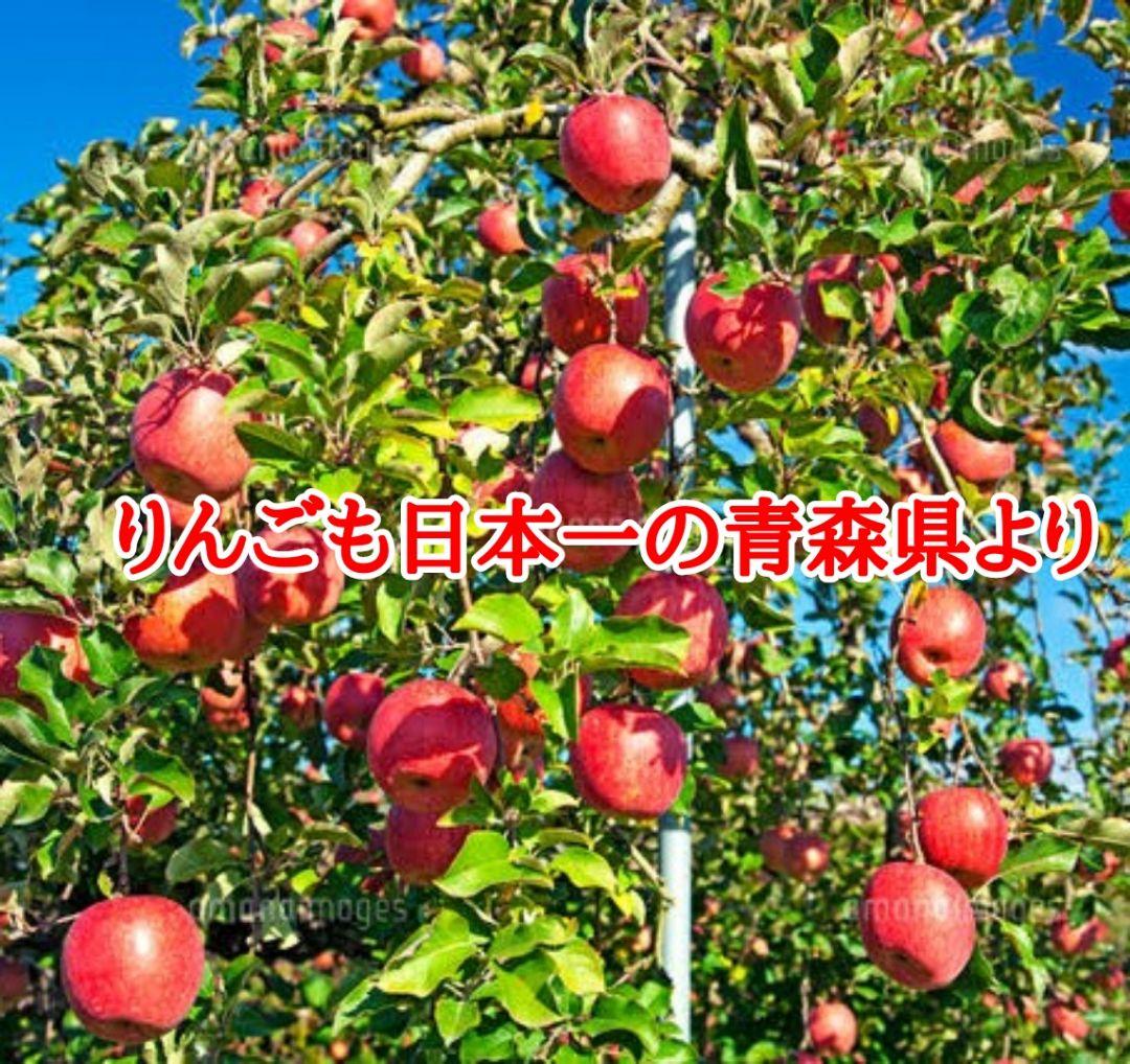 白米 10kg×2