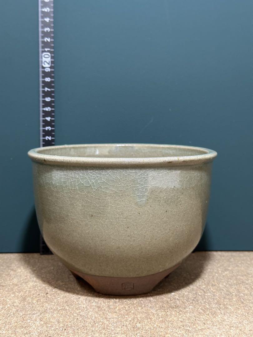 0019 伝市鉢　未使用品新品
