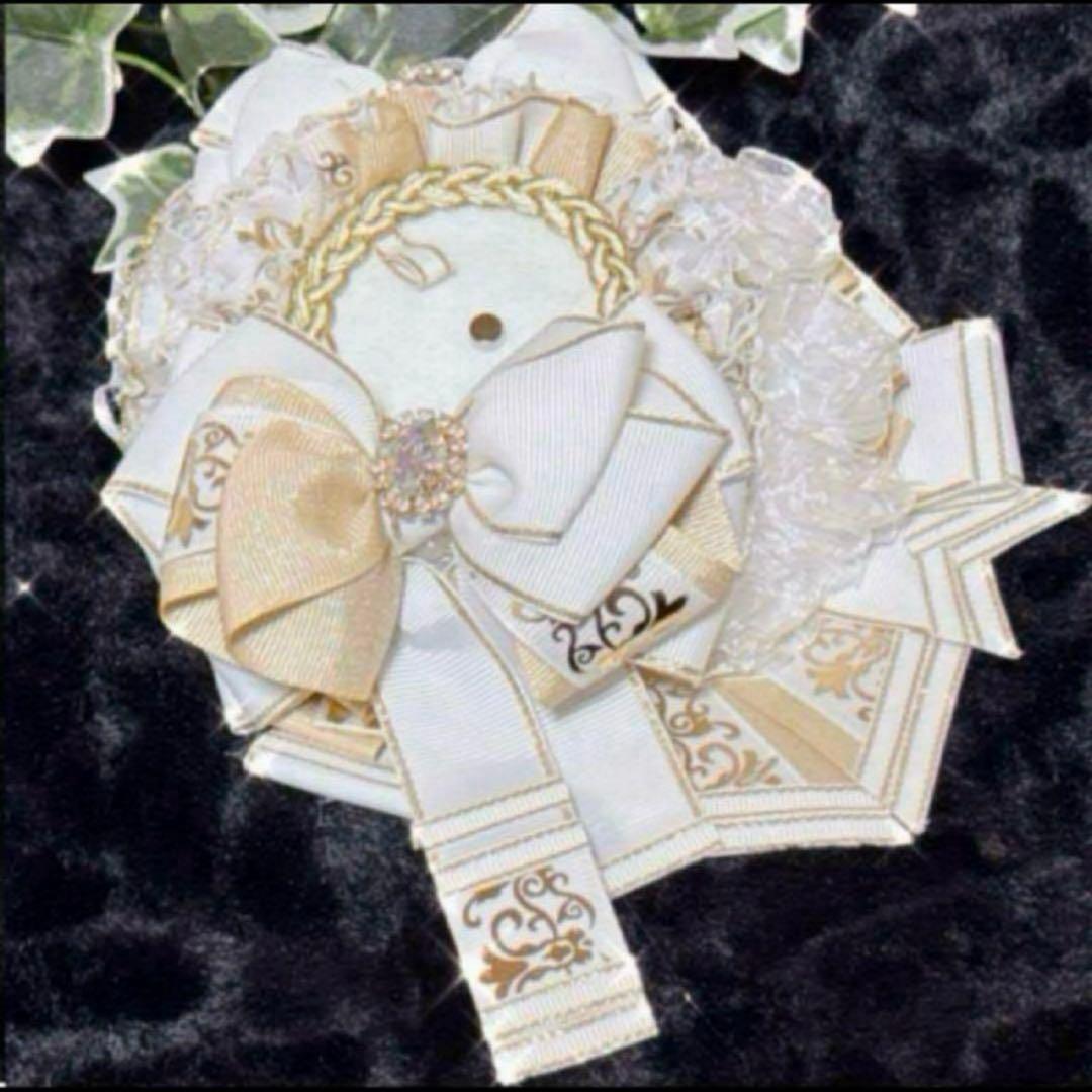 痛ロゼット 硬質ケース 12 NEXPOTALLINN_EU