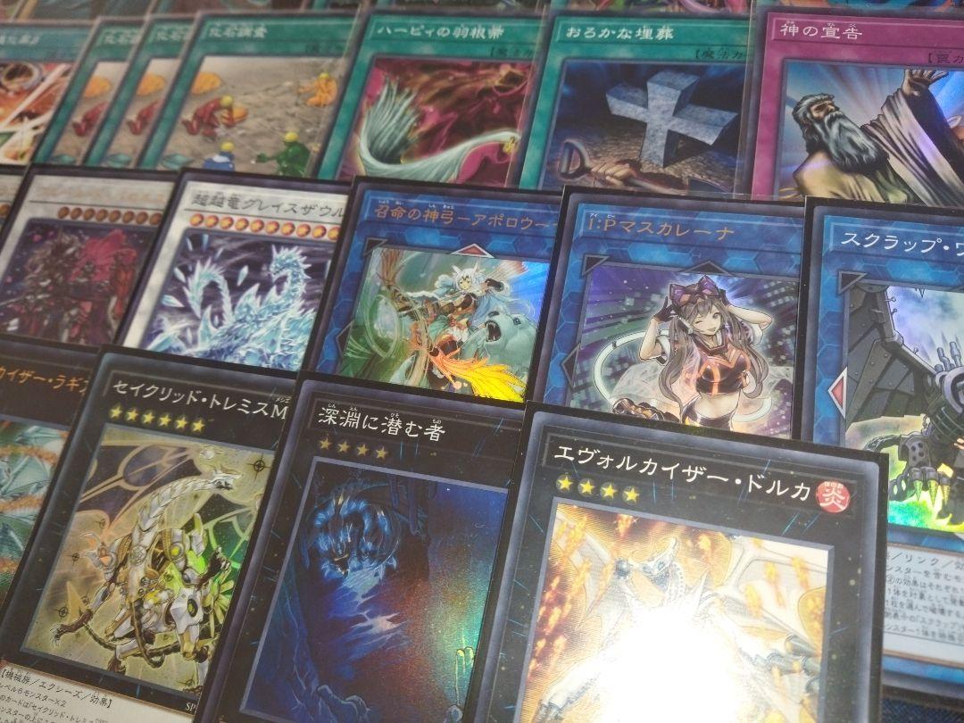 遊戯王　恐竜　デッキ　本格構築　構築済デッキ　スリーブ付き