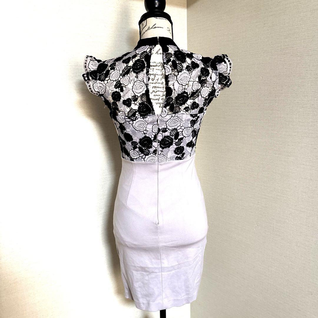 ROBE de FLEURS 薔薇 フラワー 刺繍レース タイトドレス