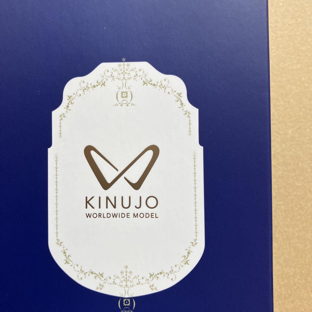 新同 KINUJO W ブラック DS200-BK ストレートヘアアイロン 絹女