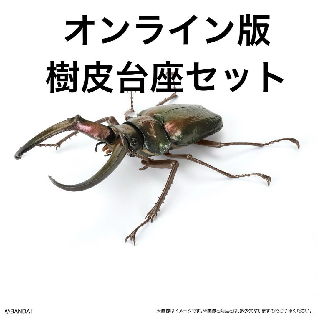 いきもの大図鑑 くわがた10 フェイスタメルシワバネクワガタ