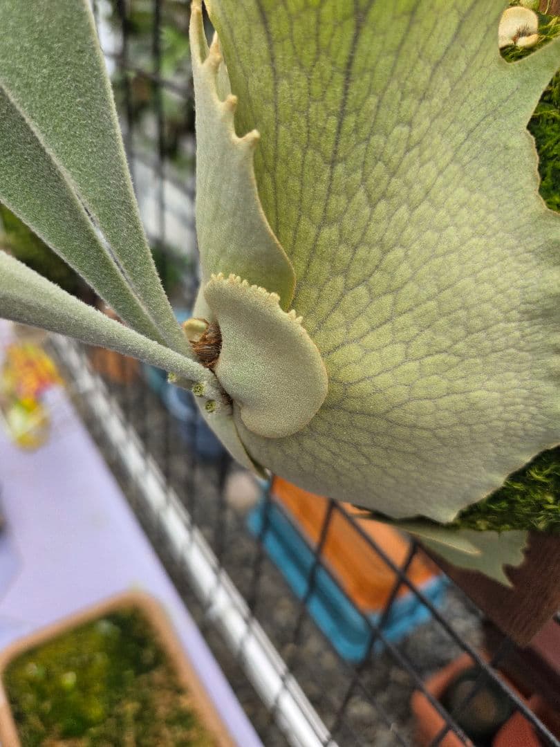 1目立った傷や汚れなし