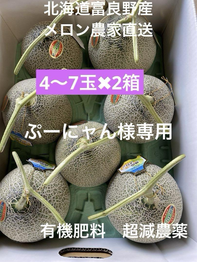 北海道富良野メロン 赤肉 4〜7玉✖︎2箱有機肥料 農家直送