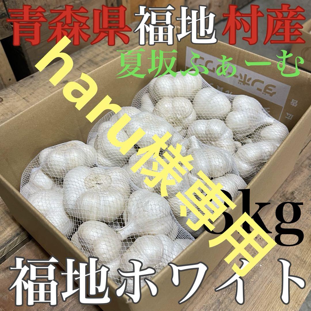 fuu 福地村産　福地ホワイト　L 3kg 青森県産　半生にんにく にんにく 青森 国産 Lサイズ 3kg 訳あり C品 福地ホワイト六片