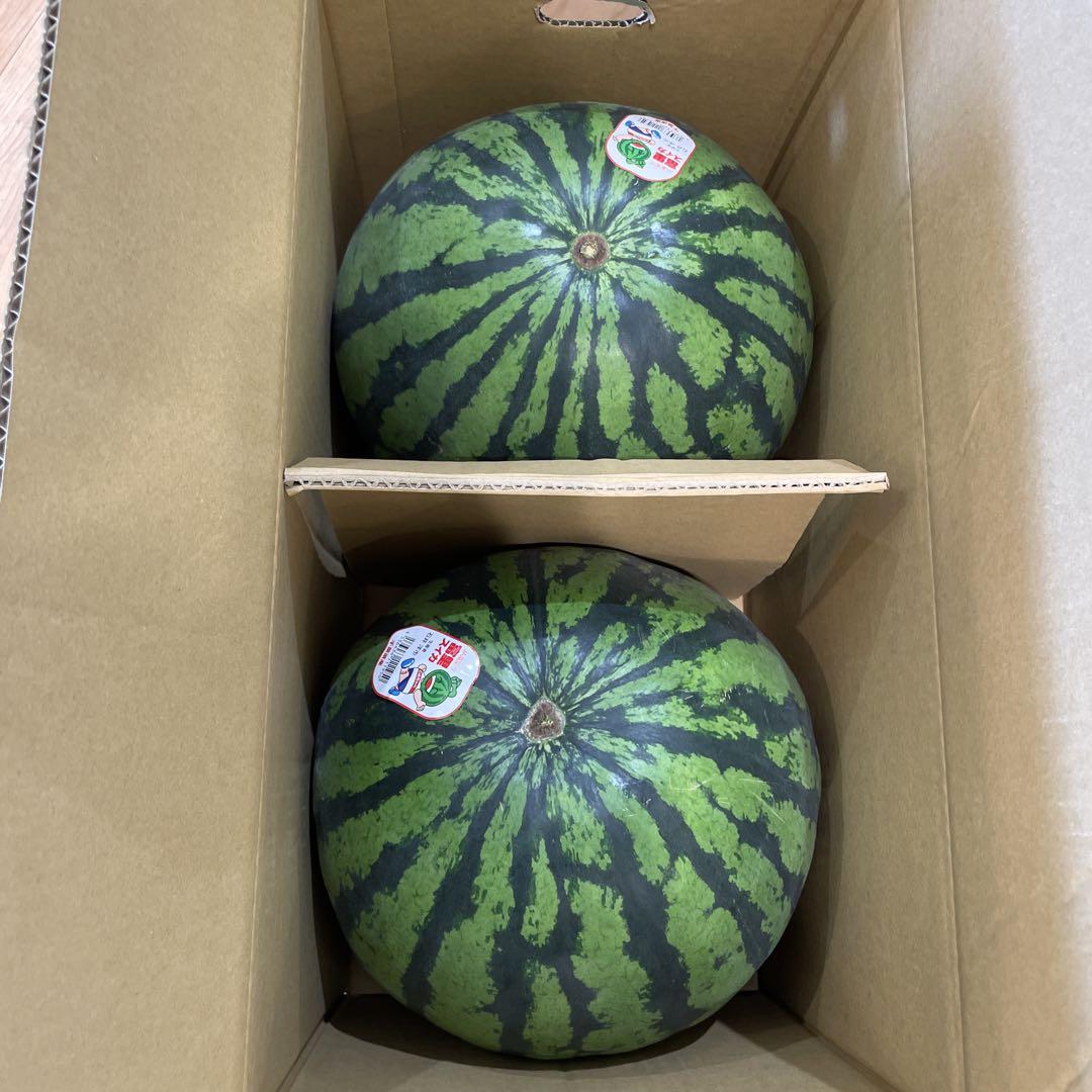 0589千葉県産丸朝大玉スイカ良品5Lサイズ1箱2玉入り ms103千葉県産丸朝大玉スイカ6Lサイズ1箱1玉入 - メルカリ