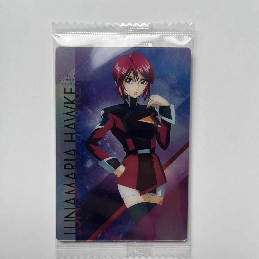 ガンダムSEEDカード ミーア、ルナマリア ガンダムSEEDカード ミーア、ルナマリア