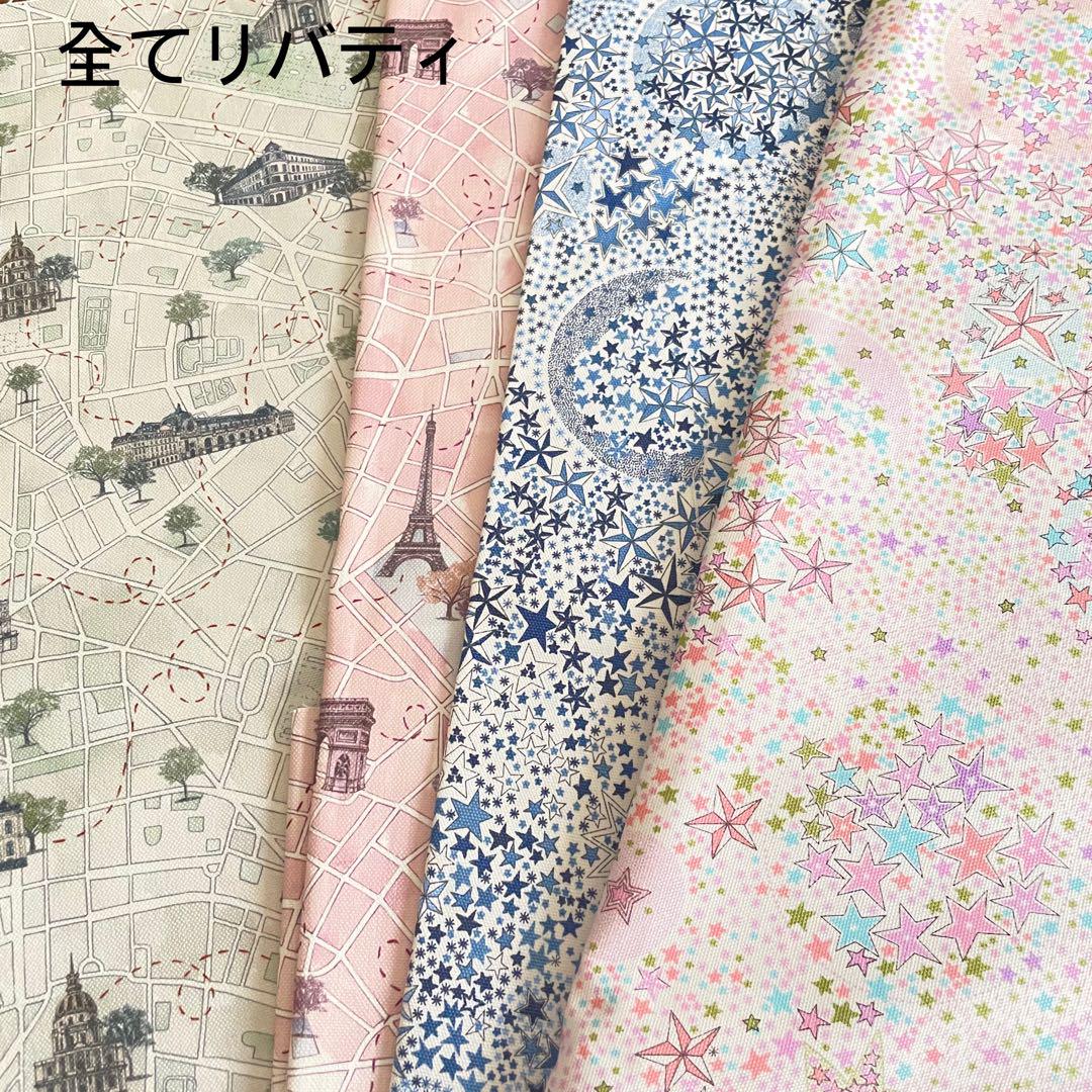 y.ページプティアルソンサイズバッグインバッグ