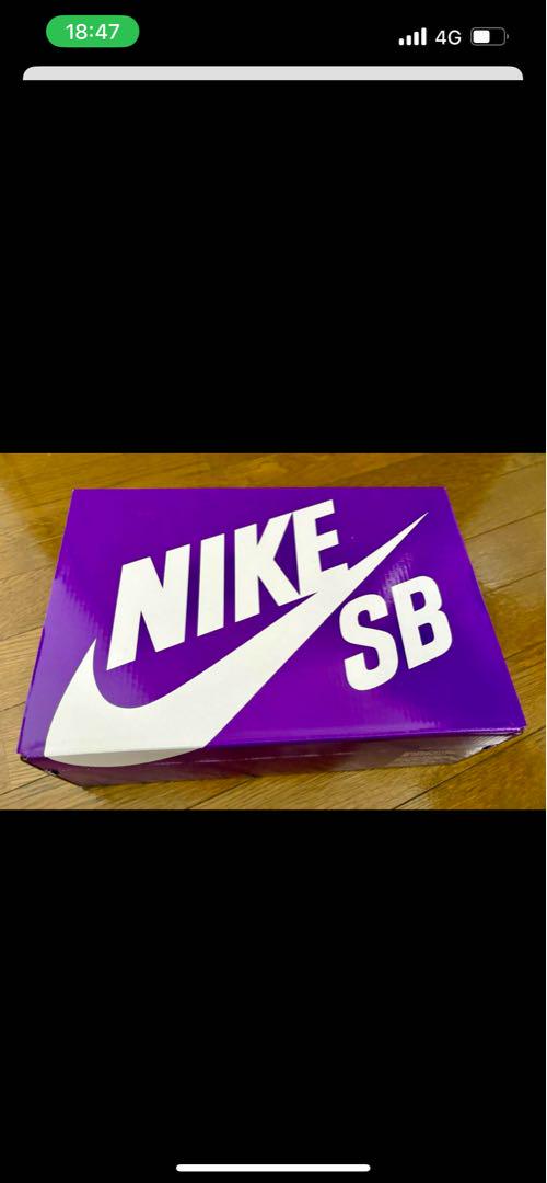 Hayley Wilson × Nike SB Dunk Low Pro28cm