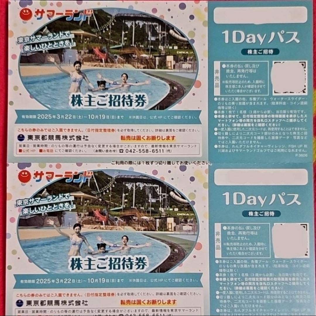 サマーランド チケット 2枚セット