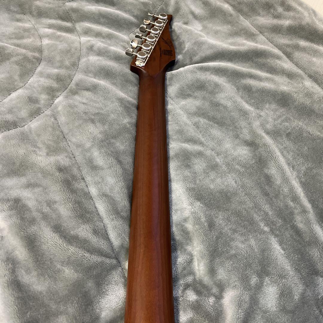 ギター Vola guitars Vasti PDM J2 Pierre Danel