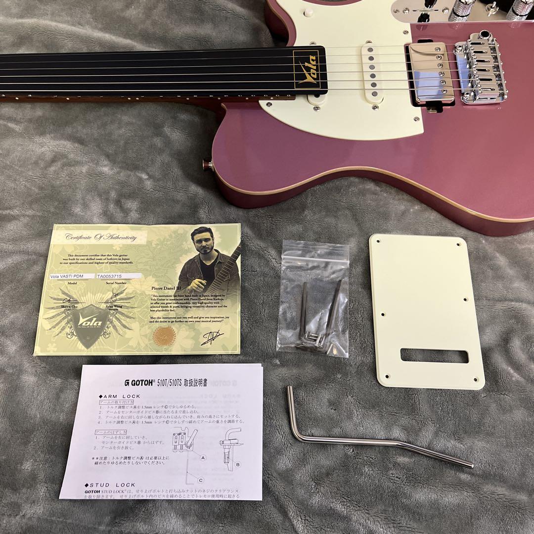ギター Vola guitars Vasti PDM J2 Pierre Danel