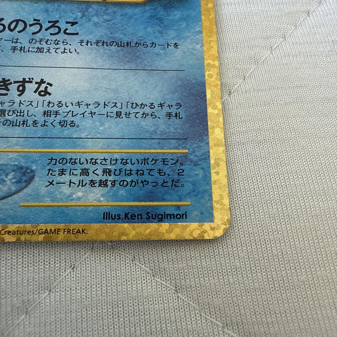 ひかるコイキング　25th