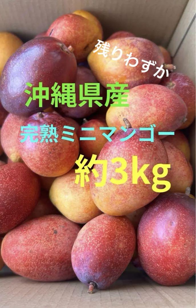 【沖縄県産】完熟ミニマンゴー　3kg