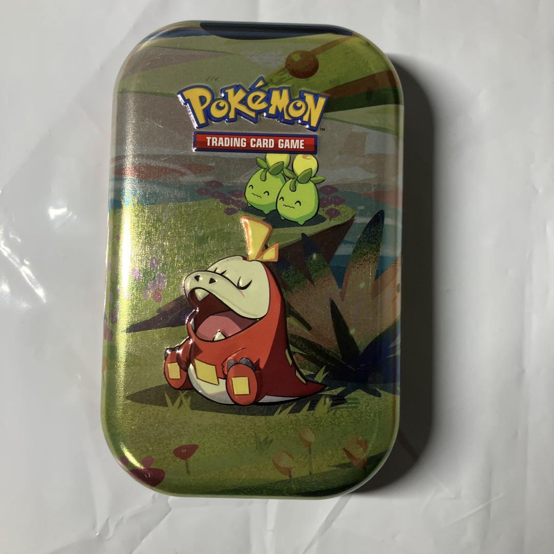 海外限定】ポケモンカード ホゲータ ダメカンケース - メルカリ