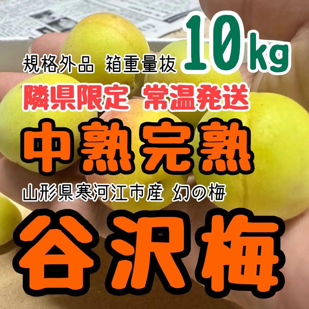 02.隣県限定 常温 10kg 山形県産 谷沢梅 完熟 中熟 梅ジャム ジュース