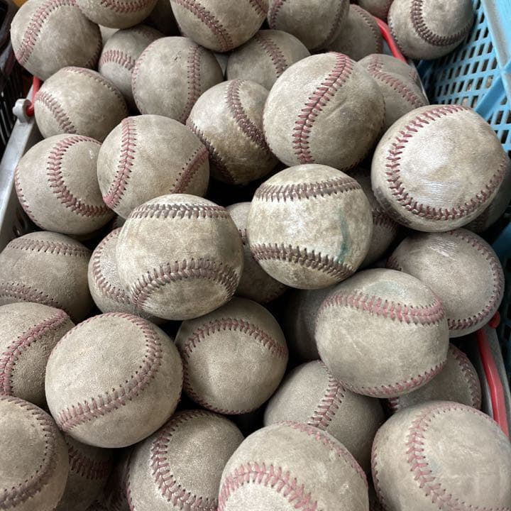 30 割引 見事な 硬式野球ボール 硬式球 ティーボール 30球 練習機器 スポーツ レジャー Sofia Com Bo