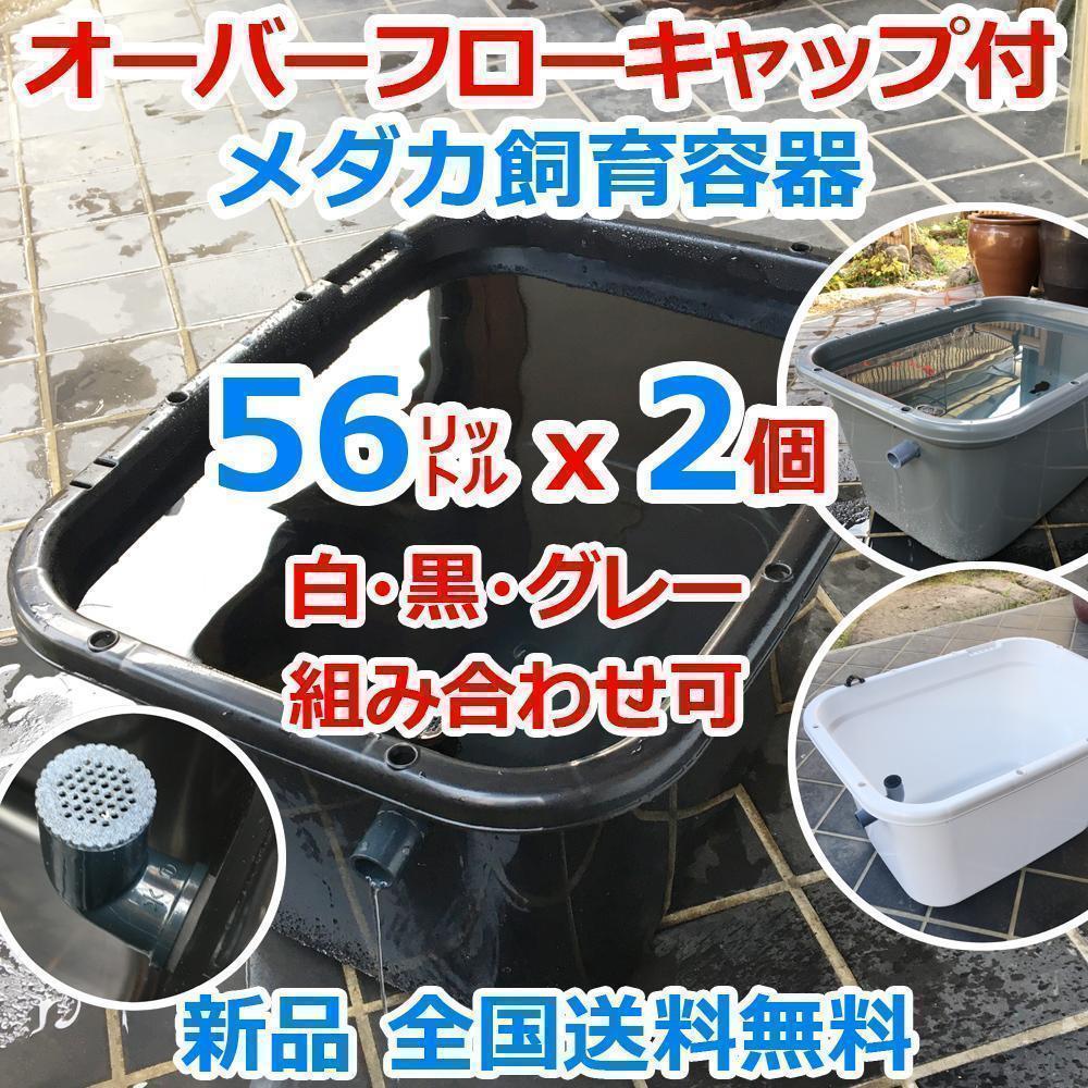 メダカ飼育ケース 56㍑x2個 白黒灰選択可 オーバーフロー加工付 金魚飼育容器