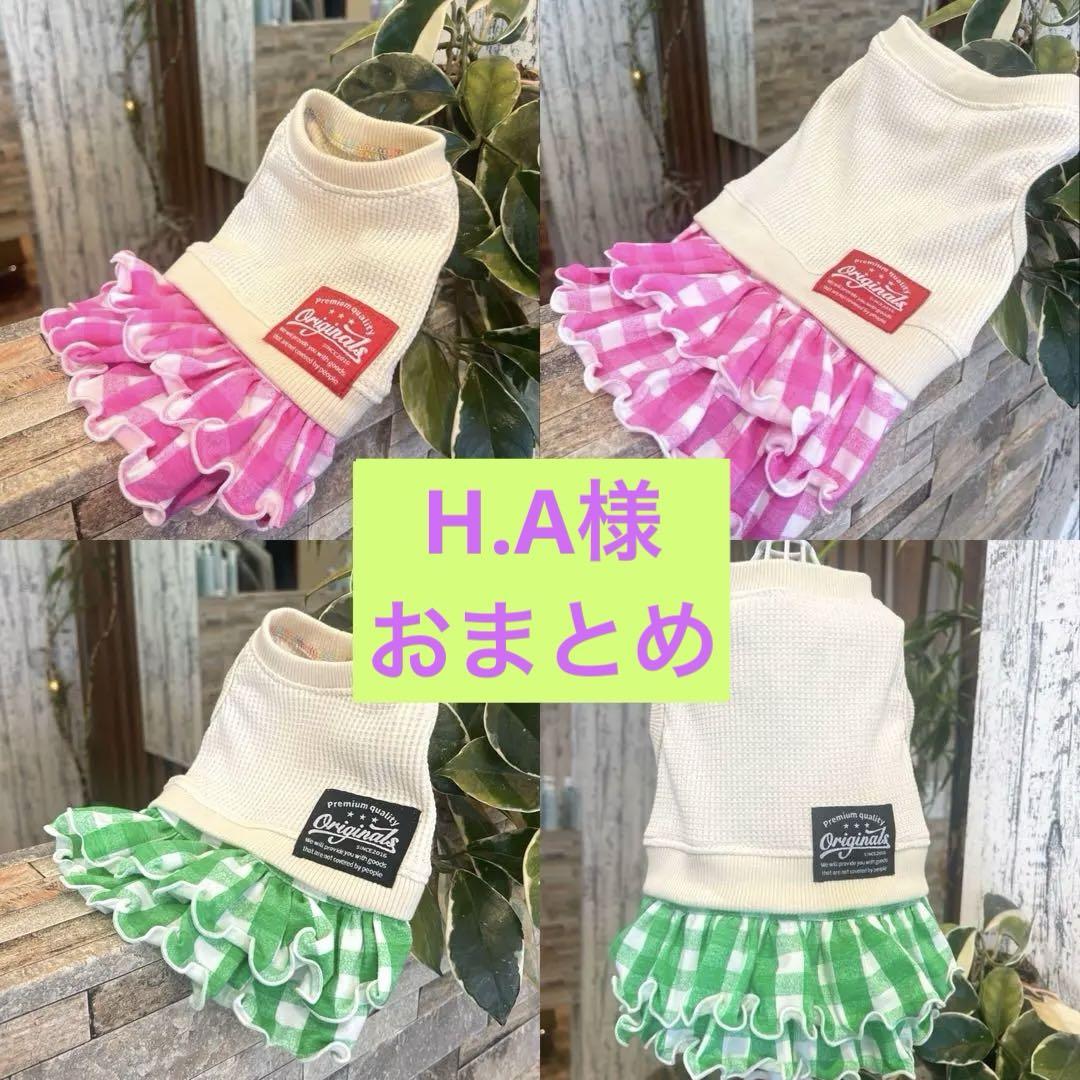 犬服4点　おまとめ