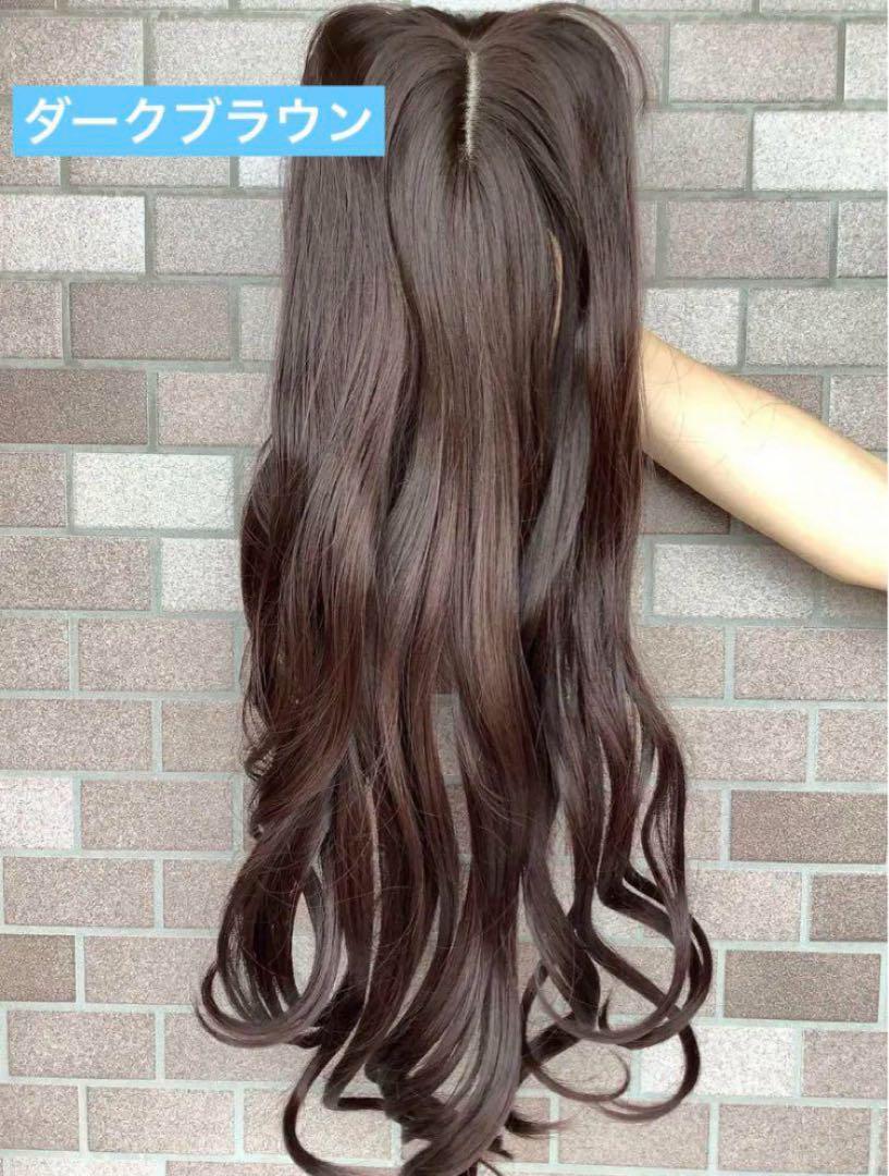 部分 ウィッグ ロング カール ヘアピース かつら セミロング　かめちゃん