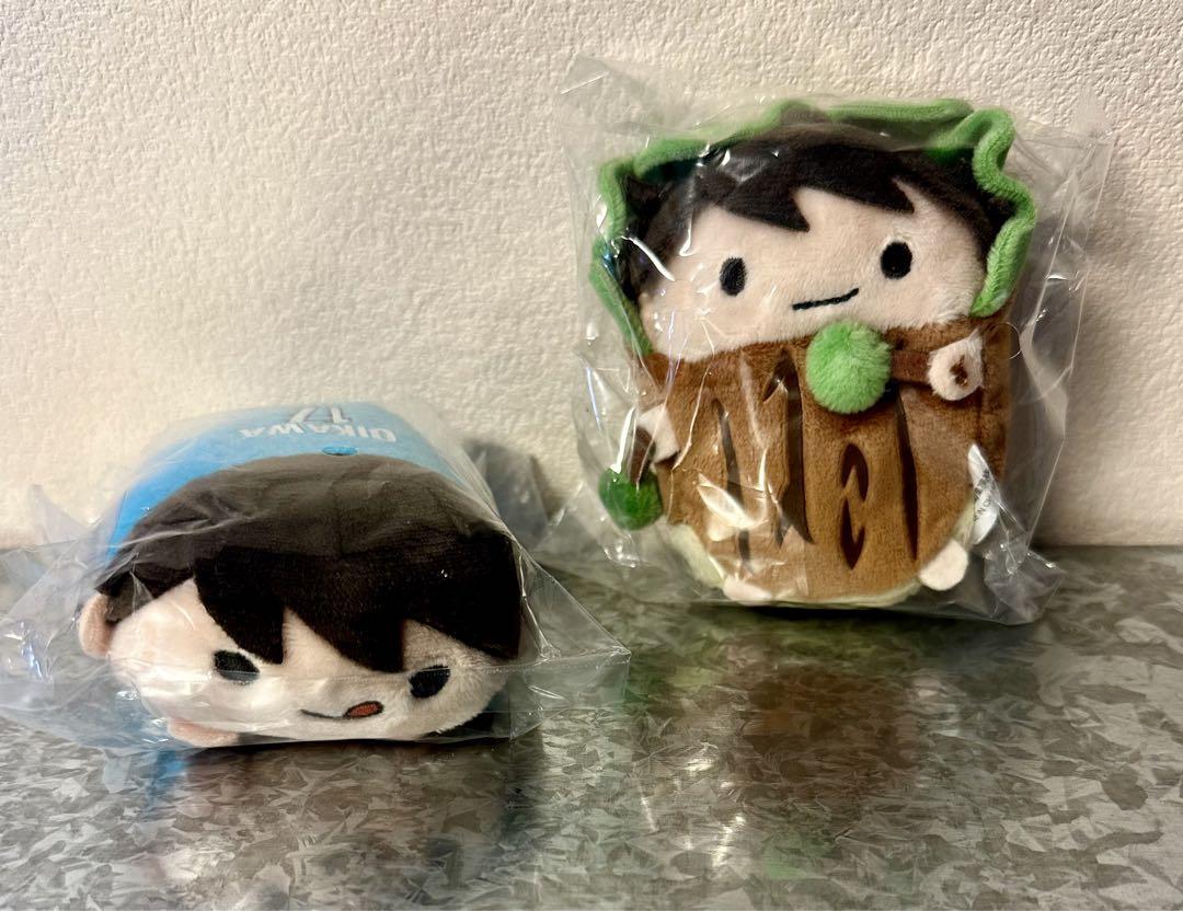 ハイキュー!! 及川徹 のるキャラ CAサン・フアン 10点 ハイキュー のるキャラマスコット 及川徹 CAサン・フアンver. 10