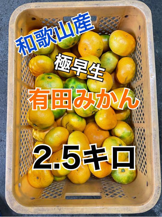 有田みかん 極早生 2.5キロ - メルカリ 有田みかん 極早生 2.5キロ - メルカリ