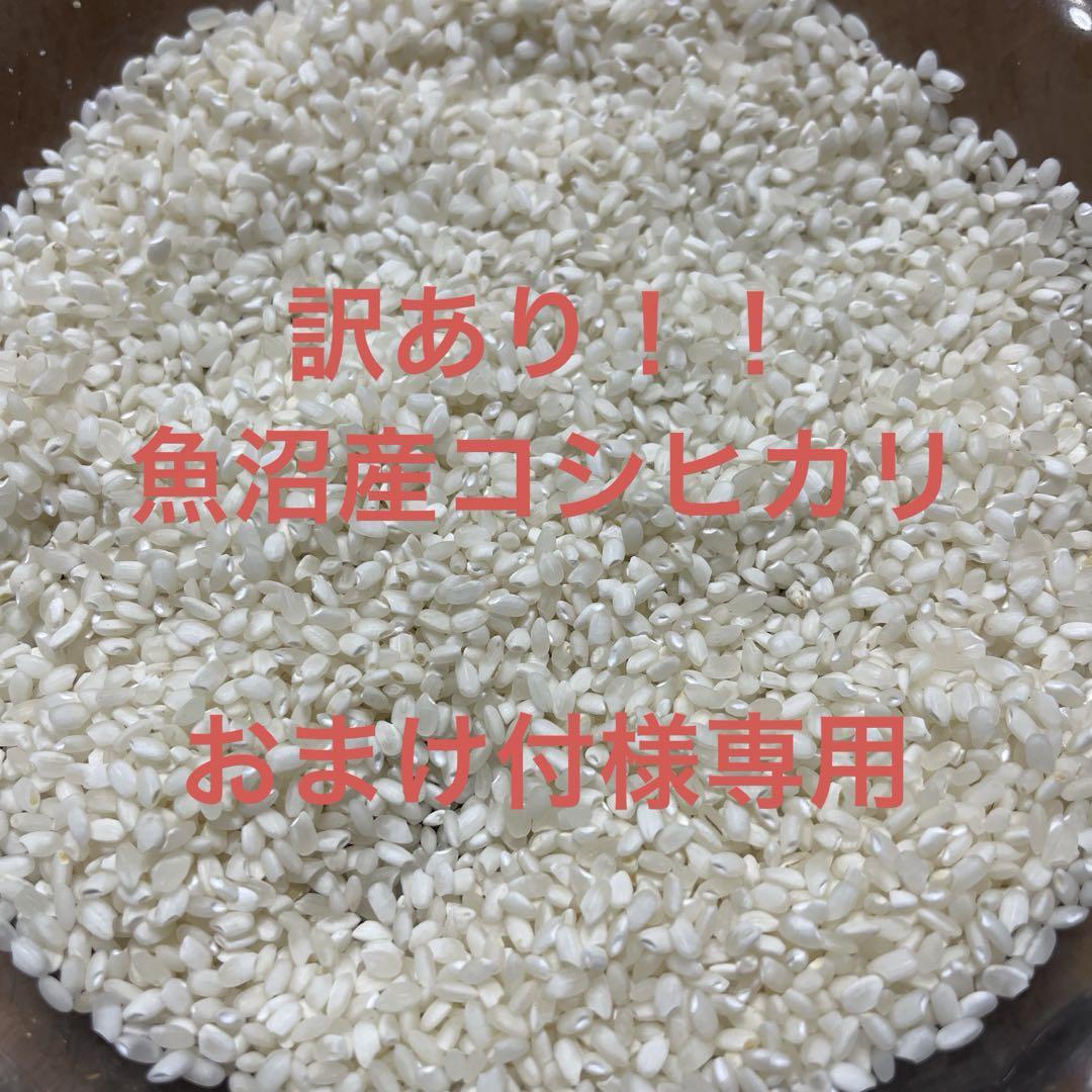 訳あり令和6年魚沼産コシヒカリ10kg※注意事項必読！！