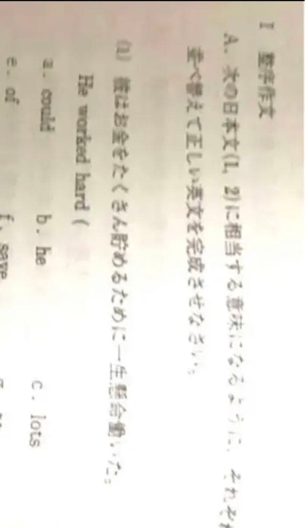 卸直営 駿台 テキスト 和文英訳H 通年 飯田康夫先生 河合塾 鉄緑会