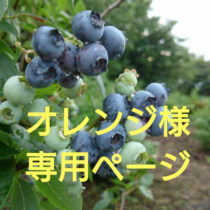 オレンジ様★専用ページ
