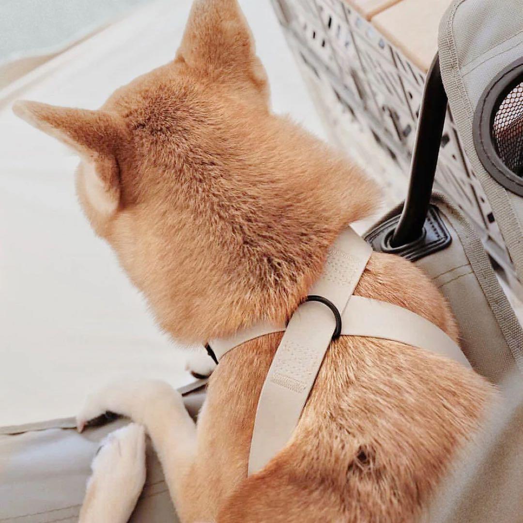 ハーネス ウォータープルーフ HARNESS Lambwolf ラムウルフ