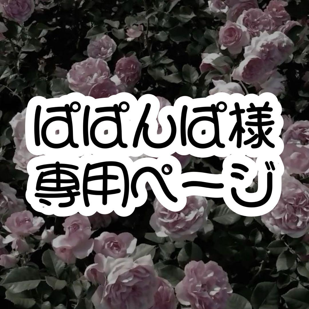 ぱぱんぱ様専用ページ