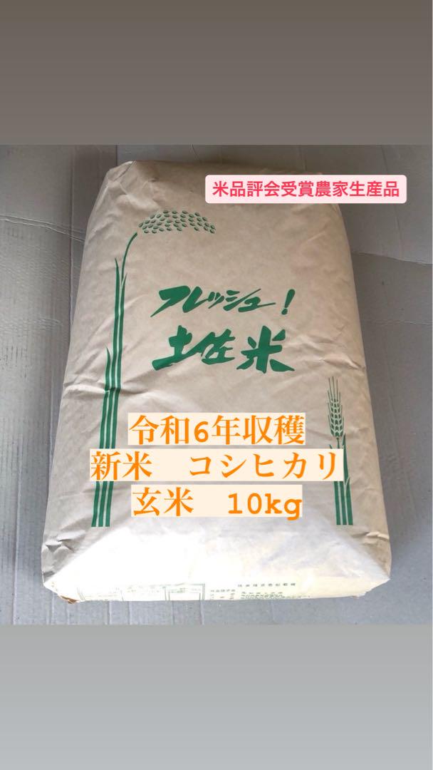 米品評会受賞農家生産品　令和6年収穫　コシヒカリ玄米10kg