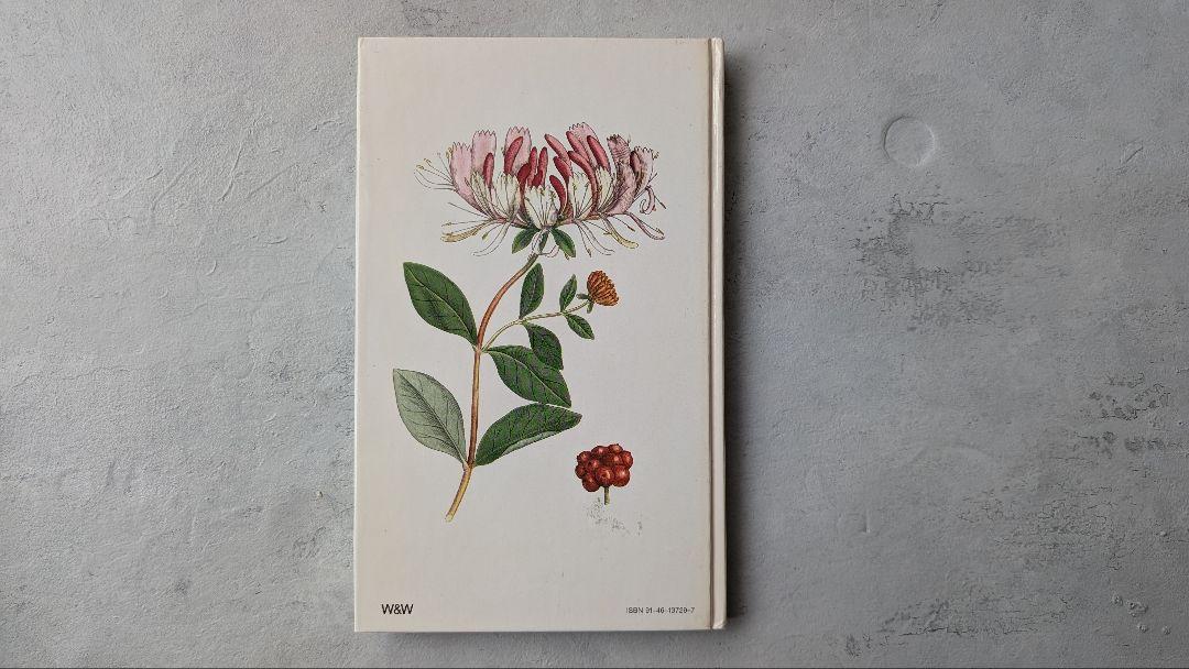 Nordens Flora 植物図鑑 C.A.M. Lindman 第8巻 洋書