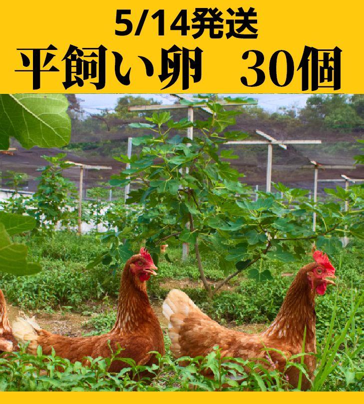 平飼い卵30個5/14常温発送 - メルカリ