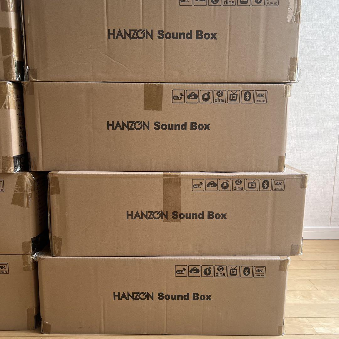 HANZON Sound Box 無線マイク2本付き